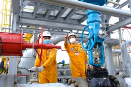 PV GAS D targets status of leading natural gas distributor