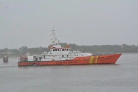Nine saved, two died in ship accident offshore Vung Tau