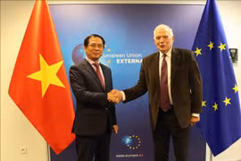 EU considers Vietnam among most important partners in Indo-Pacific