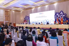 Vietnamese NA co-sponsors AIPA resolution on digital transformation
