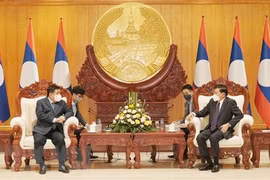 Vietnamese official pays courtesy visits to Lao leaders 