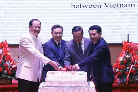 Diplomacy plays great role in growth of Vietnam-Laos ties: Ambassador
