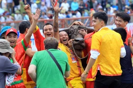 Do Son Buffalo Fighting Festival to be held from Aug. 27-Sept. 11