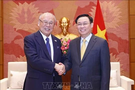 Top legislator hosts special advisor to Japan - Vietnam Friendship Parliamentary Alliance