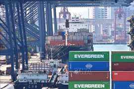 Vietnam enjoys fruitful trade, investment ties with Hong Kong