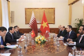 Potential remains for Vietnam, Qatar to enhance ties: officials