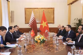Potential remains for Vietnam, Qatar to enhance ties: officials