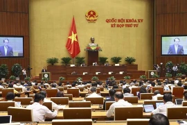 Lawmakers to continue debating bills on November 10