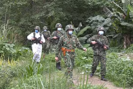 Vietnamese, Chinese border guards conduct joint patrols