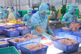 Export value of aquatic products up 38% in nine months