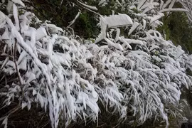 New cold spell causes rains in northern region