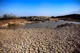 Vietnam seeks to effectively prevent land degradation, desertification