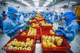 Veggie, fruit exports changing markets