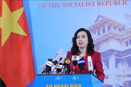 Vietnam resolutely opposes and demands Taiwan to cancel illegal live-fire drill