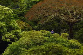 First nature film festival in Vietnam to take place this month