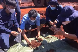 Search, repatriation of volunteer Vietnamese soldiers’ remains in Cambodia resumed 
