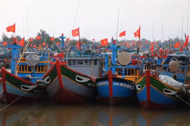 Quang Ngai records improvement in fishermen’s awareness of IUU fishing