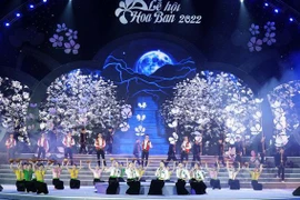 Hoa Ban Festival returns to Dien Bien