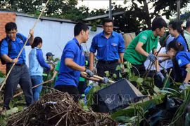 Report on youth action for climate change in Vietnam launched