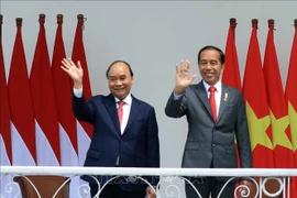 President’s State visit to Indonesia harvests comprehensive, substantive outcomes