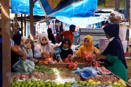 Indonesia to spend over 6 billion USD to ensure food security in 2023