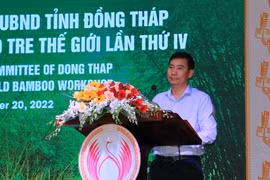 Dong Thap combines bamboo conservation with ecotourism