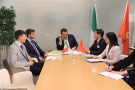 Progress seen in settlement of suspected cashew nut scam in Italy