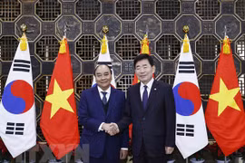 Vietnamese President meets with RoK National Assembly Speaker