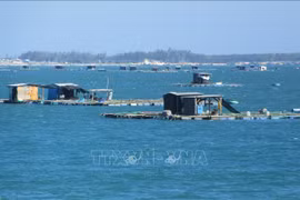 Khanh Hoa eyes sustainable development of industrial seaculture 