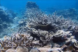 National biodiversity strategy to 2030 approved