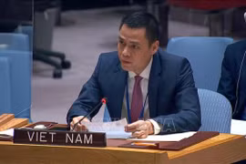 Vietnam willing to join humanitarian efforts for Ukraine