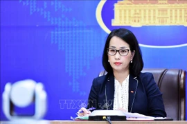 Vietnam urges prompt investigation into Vietnamese woman’s death in Japan 