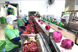 Workshop helps fresh fruit exporters learn about China’s new regulations