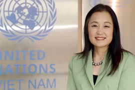 Vietnam achieves significant progress in anti-domestic violence work: UNFPA Representative