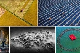 Art photos feature beauty of contemporary life across Vietnam