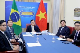 Vietnam, Brazil hold deputy ministerial-level political consultation 