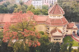 Special flower tour at History Museum