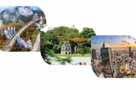 Three Vietnamese cities among world’s fastest-growing digital nomad hubs