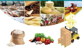 Agro-forestry-fishery exports exceed 53 billion USD in 2023