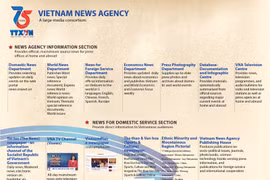 Vietnam News Agency - A large media consortium