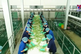 Vietnam aiming for green, sustainable exports