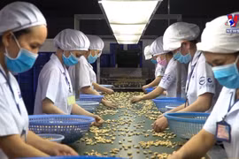 Vietnam named among 30 largest commodity import-export economies