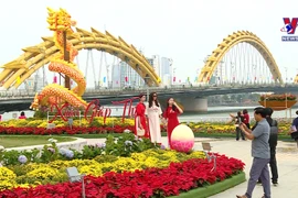 Localities enjoy rise in foreign visitors during Tet