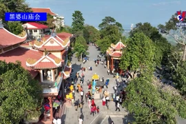 Spring festivals – symbol of Vietnamese culture