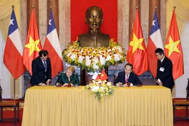 Vietnam, Chile enjoy growing comprehensive partnership 