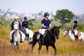 Enjoy horseback riding in Hanoi