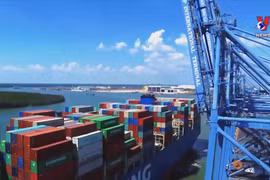 Outstanding economic events of Vietnam in 2022