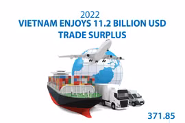 Vietnam enjoys 11.2 billion USD trade surplus