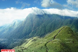 Hoang Lien Son named among most exciting destinations