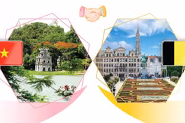 Cooperative relations between Vietnam and the Kingdom of Belgium